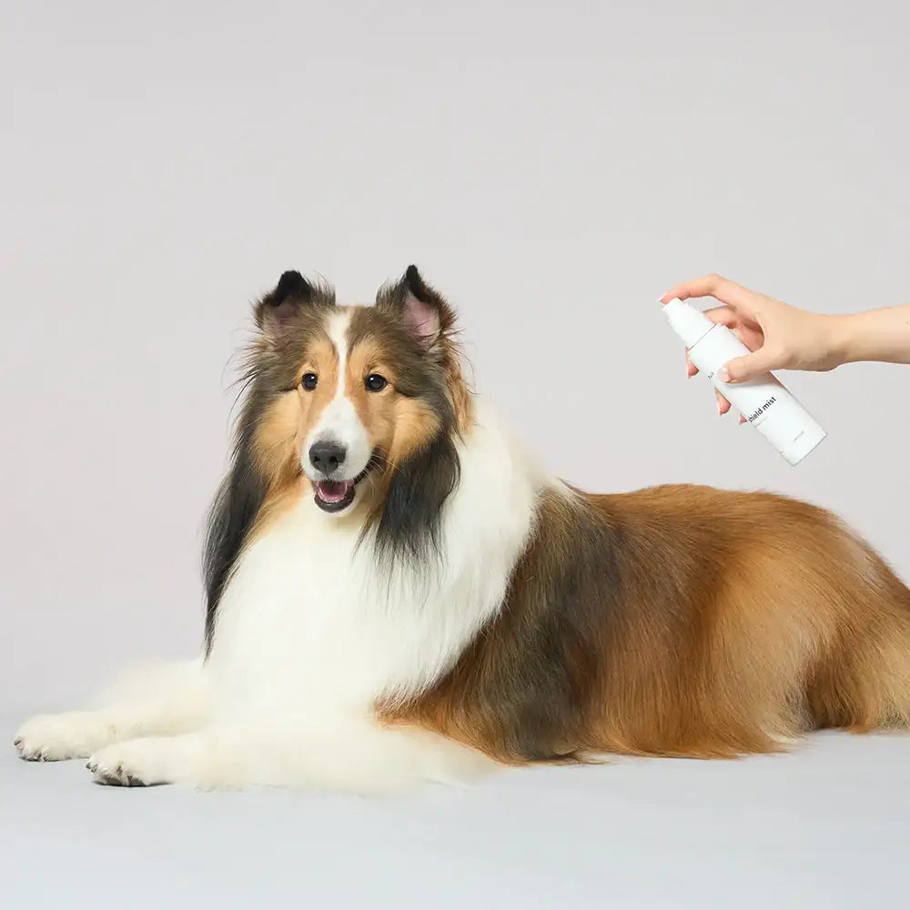 Duit - Pet Shield Mist - Duit - Home & Living, Accessories - Harumio