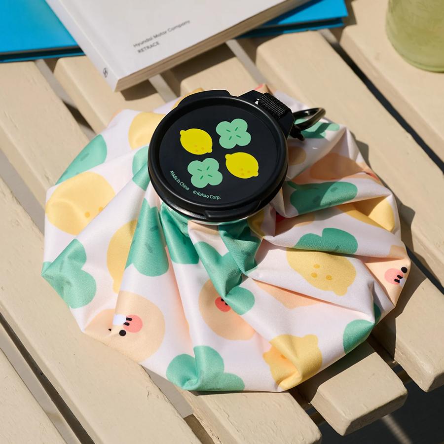 Kakao Friends - Lucky Day Ice Pack (Choonsik)
