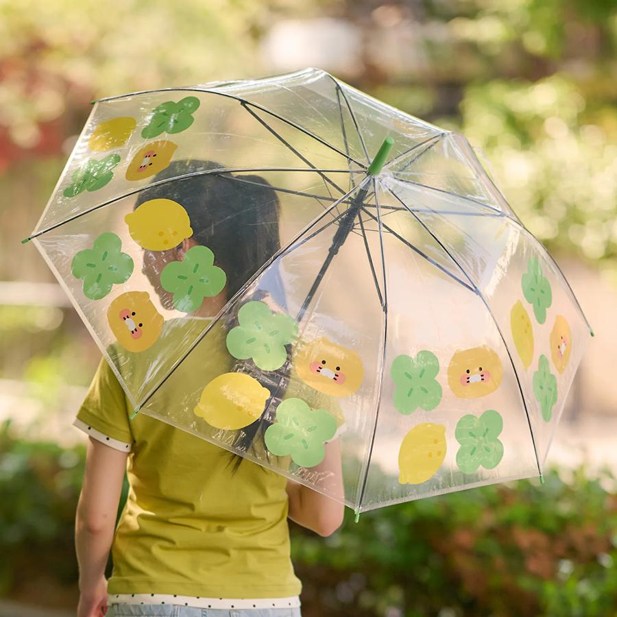Kakao Friends - Lucky Day Transparent Umbrella (Choonsik)