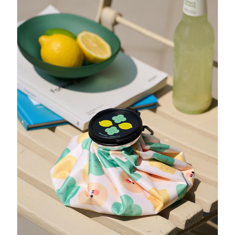 Kakao Friends - Lucky Day Ice Pack (Choonsik)