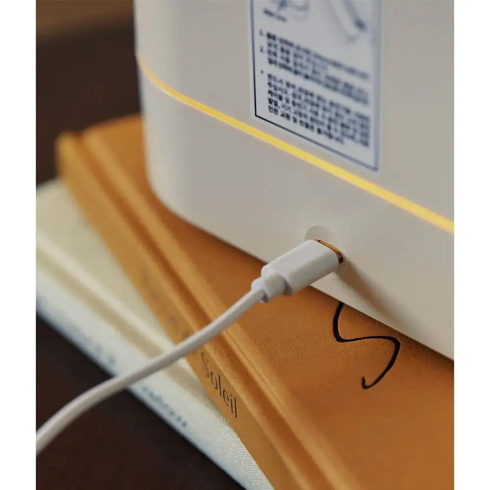 Kakao Friends - Choonsik Fireplace Lamp Humidifier - Kakao Friends - Humidifier - Harumio