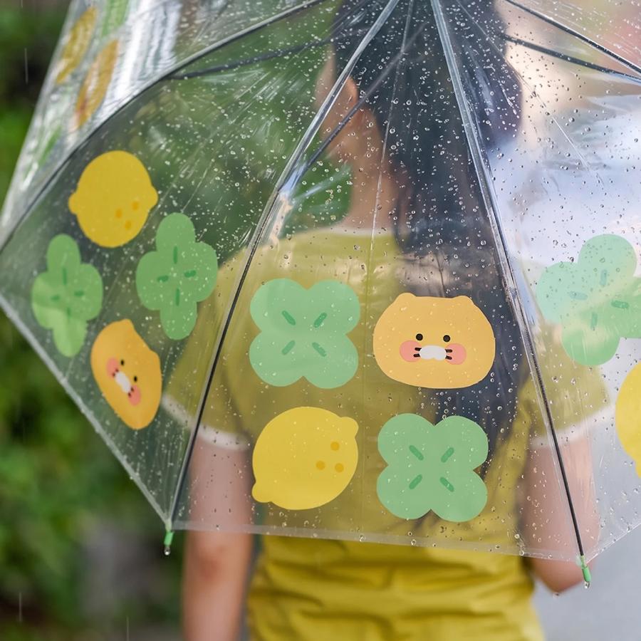 Kakao Friends - Lucky Day Transparent Umbrella (Choonsik)