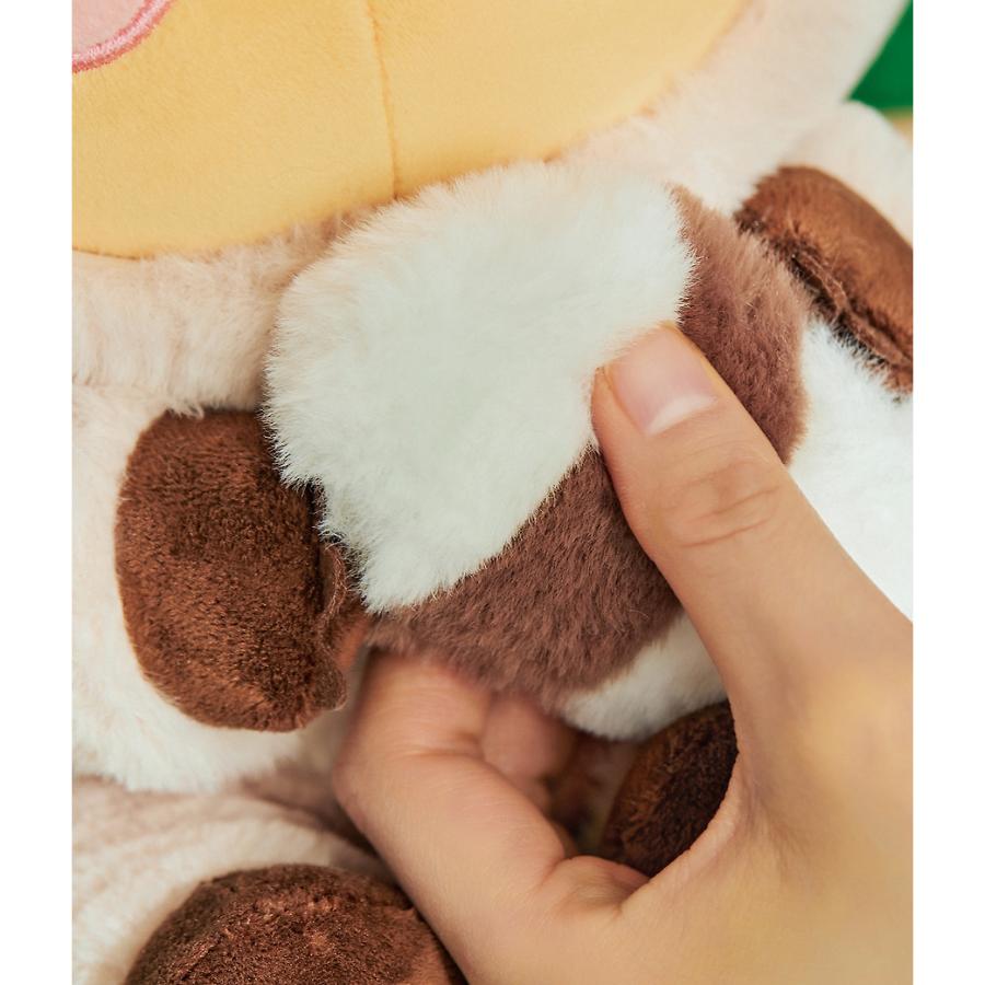 Kakao Friends - FRIENDZOO Racoon Plush Doll (Choonsik)
