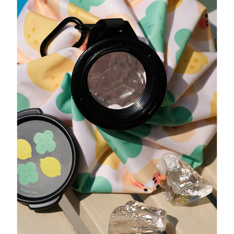 Kakao Friends - Lucky Day Ice Pack (Choonsik)