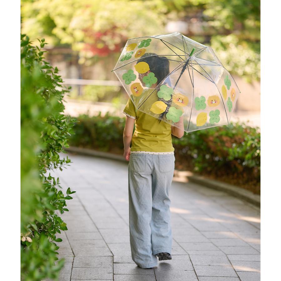 Kakao Friends - Lucky Day Transparent Umbrella (Choonsik)