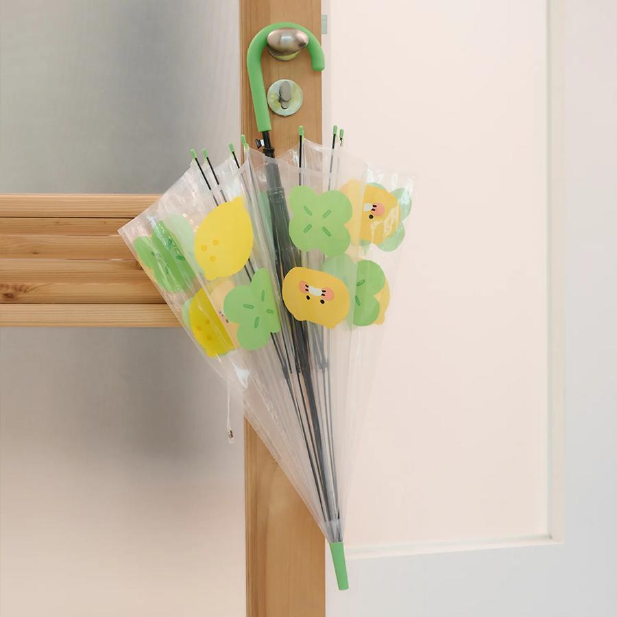 Kakao Friends - Lucky Day Transparent Umbrella (Choonsik)
