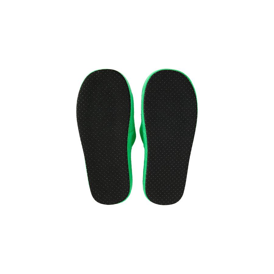 Kakao Friends - Choonsik Terry Slipper (Green)