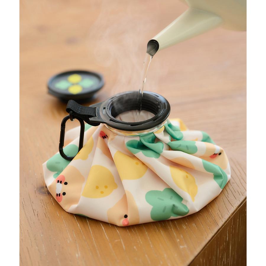 Kakao Friends - Lucky Day Ice Pack (Choonsik)