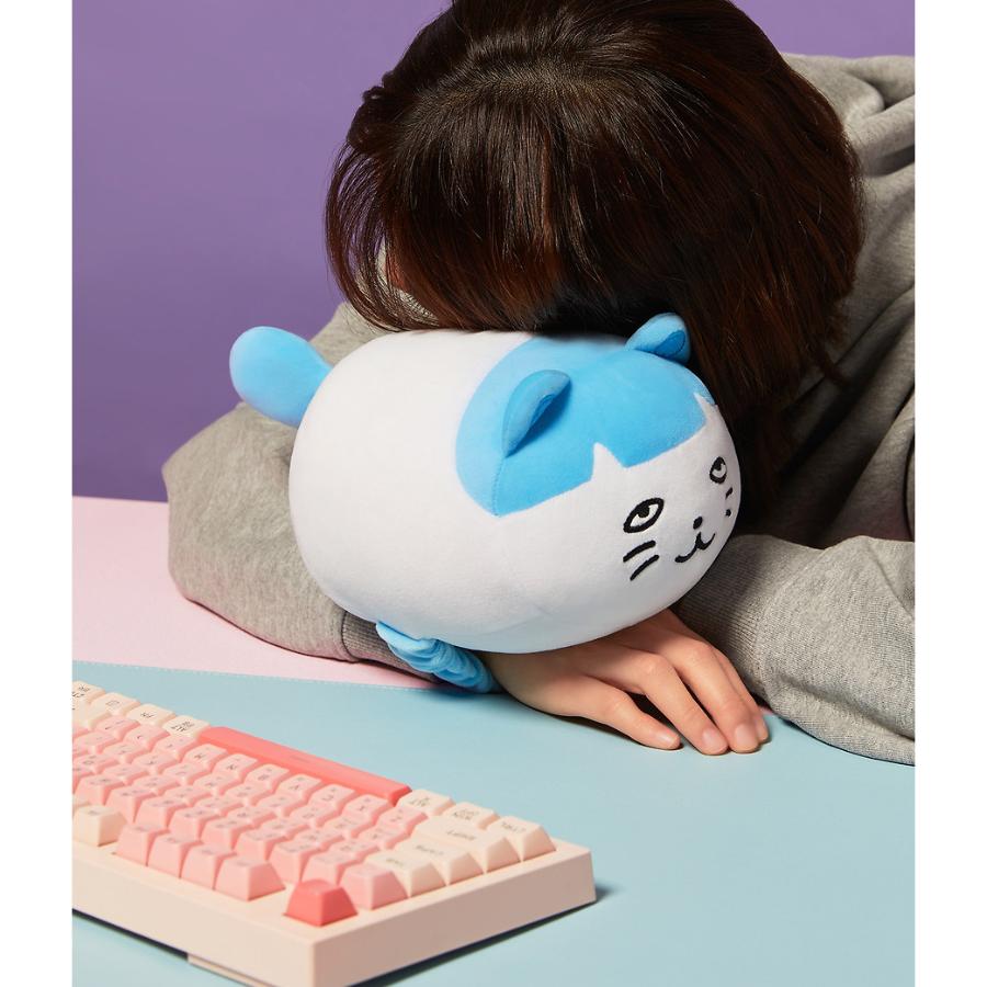 Kakao Friends - GOLGOLZ Sweet Dreams Arm Cushion (Park Bam-i)