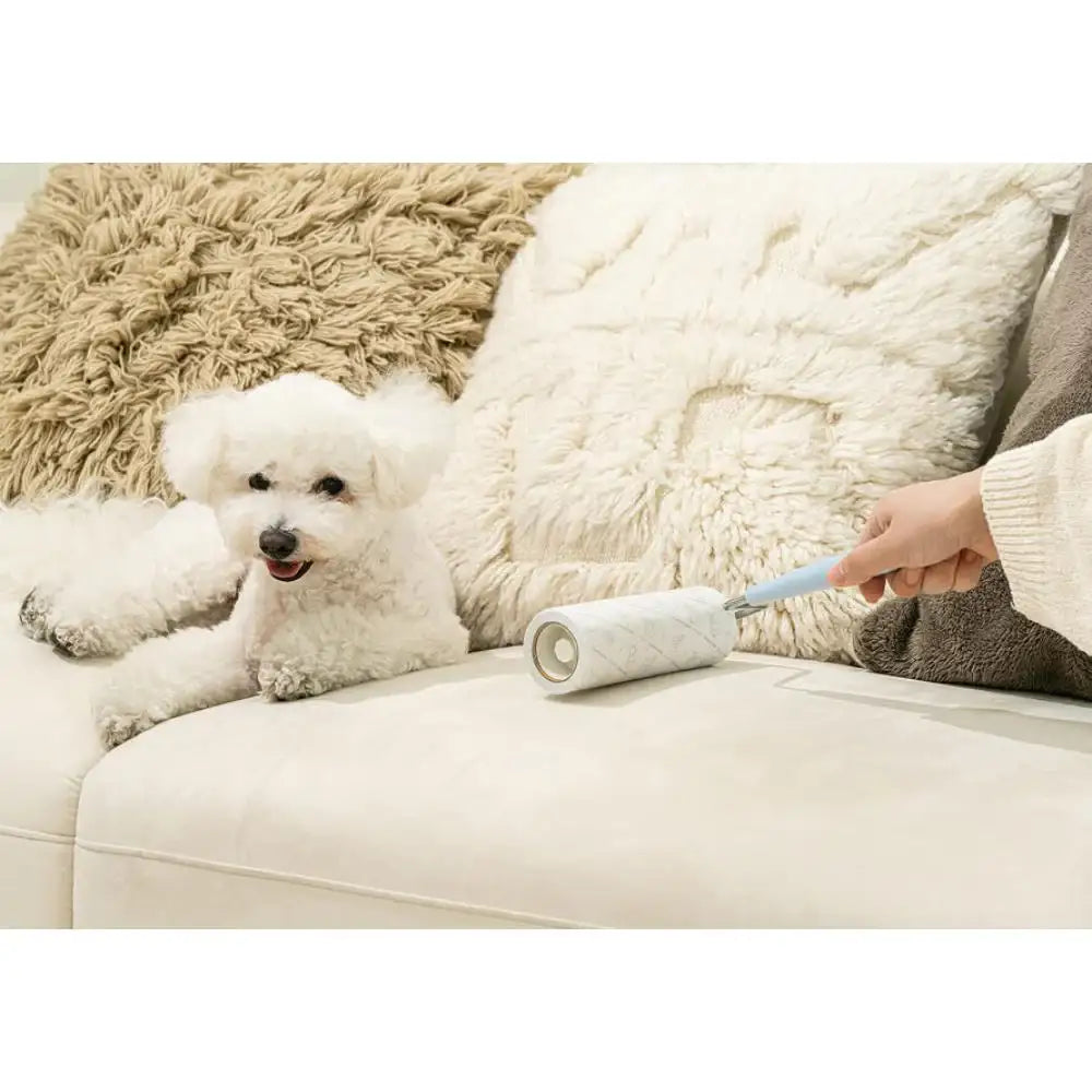 Kakao Friends - Ryan Roll Cleaner - Kakao Friends - Home & Living, Accessories - Harumio