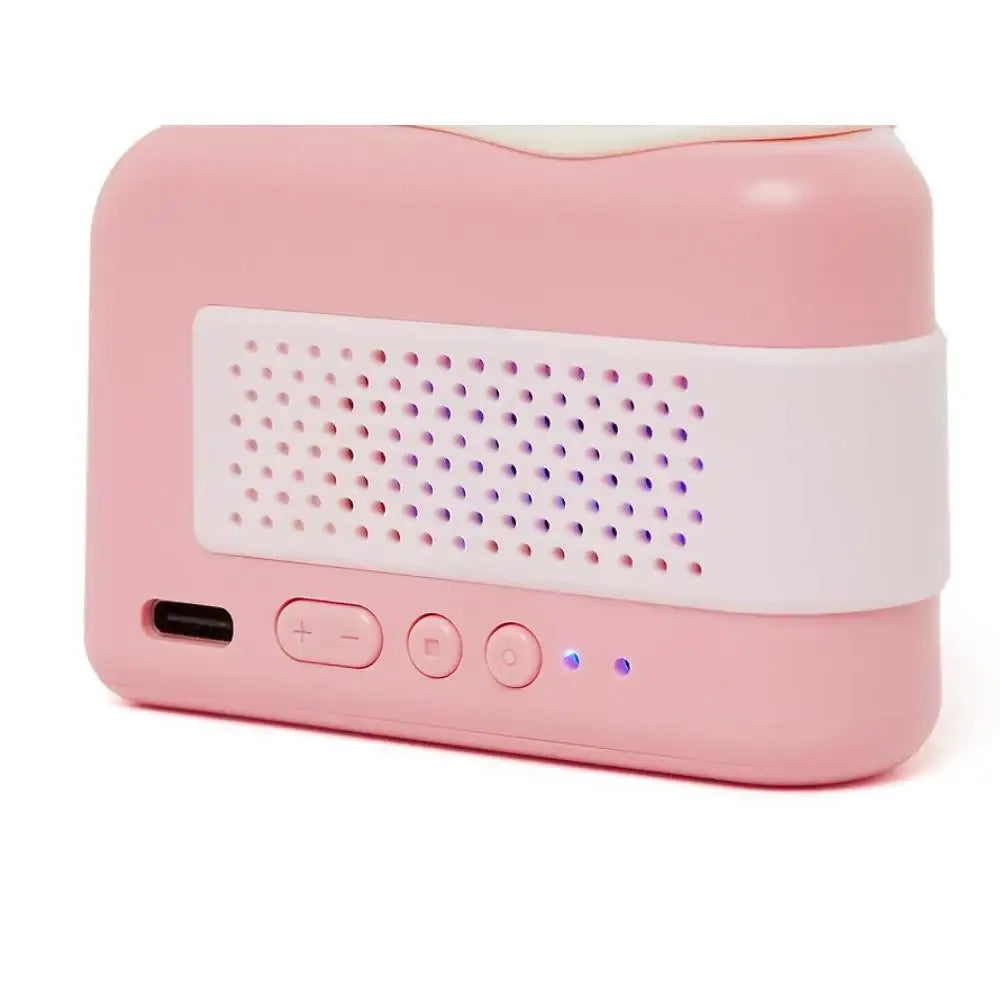 Kakao Friends - Choonsik's Birthday Party Cake Speaker - Kakao Friends - bluetooth speaker - Harumio