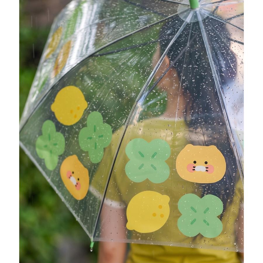 Kakao Friends - Lucky Day Transparent Umbrella (Choonsik)