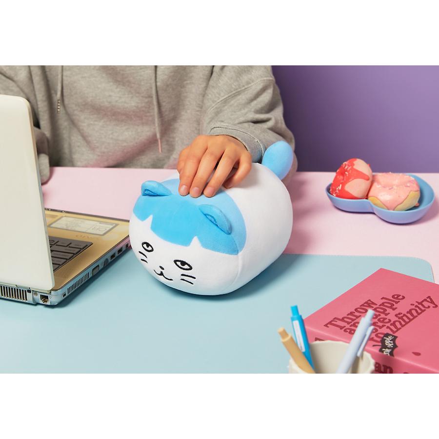 Kakao Friends - GOLGOLZ Sweet Dreams Arm Cushion (Park Bam-i)