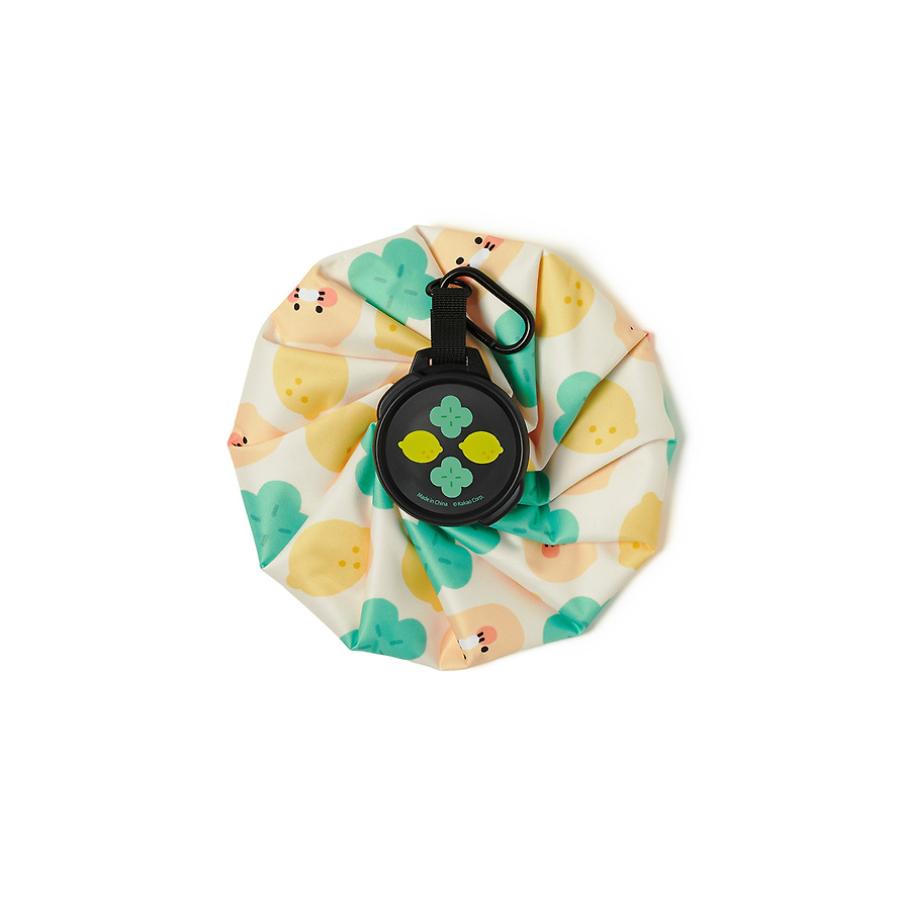 Kakao Friends - Lucky Day Ice Pack (Choonsik)