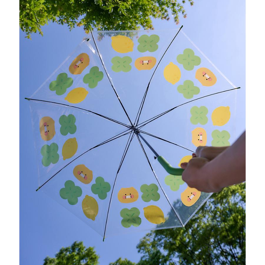 Kakao Friends - Lucky Day Transparent Umbrella (Choonsik)