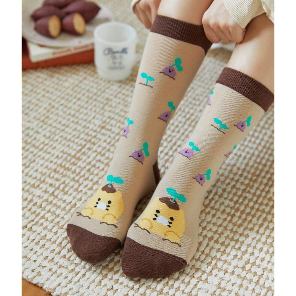 Kakao Friends - Choonsik Daily Socks - Kakao Friends - Socks - Harumio