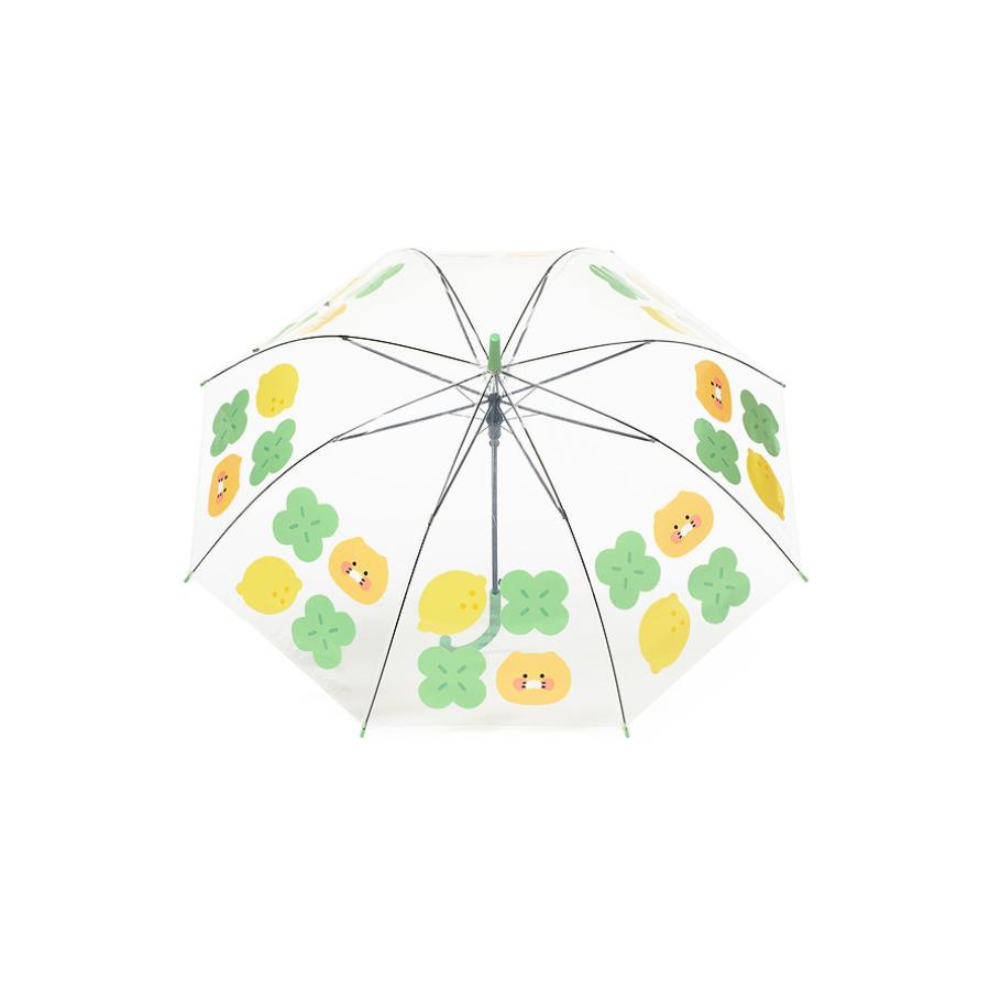 Kakao Friends - Lucky Day Transparent Umbrella (Choonsik)