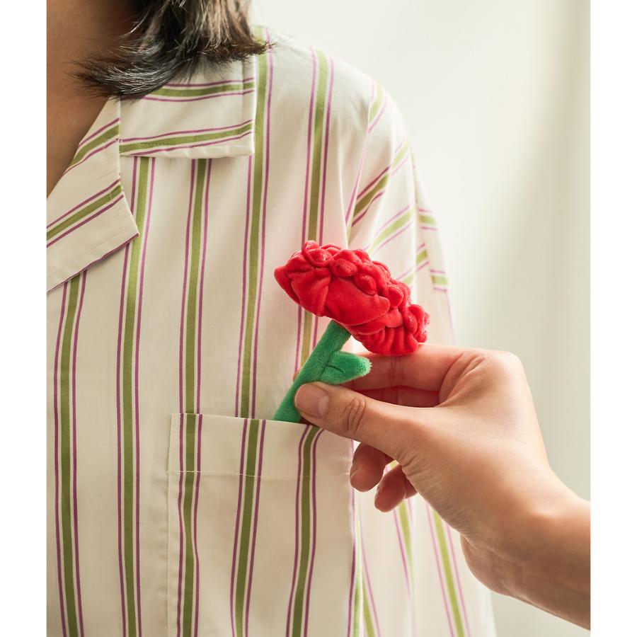Kakao Friends - Choonsik Carnation Flowerpot Doll