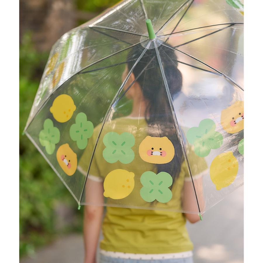 Kakao Friends - Lucky Day Transparent Umbrella (Choonsik)
