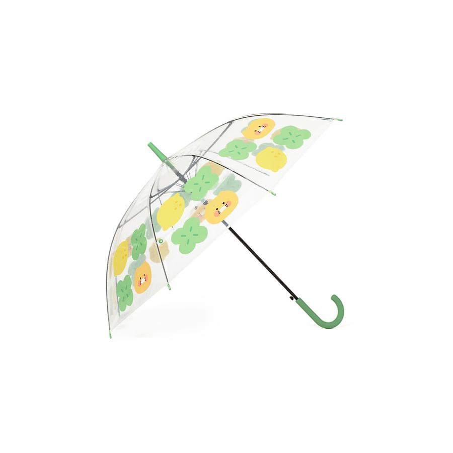 Kakao Friends - Lucky Day Transparent Umbrella (Choonsik)