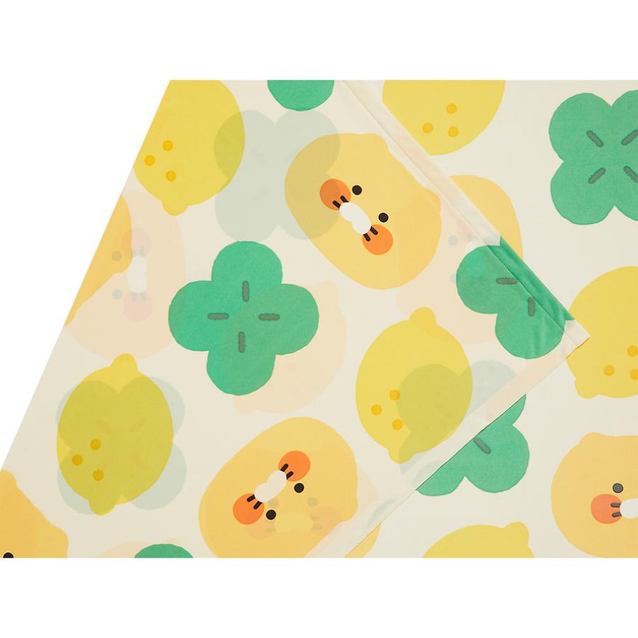 Kakao Friends - Lucky Day Contact Cooling Single Duvet (Choonsik)