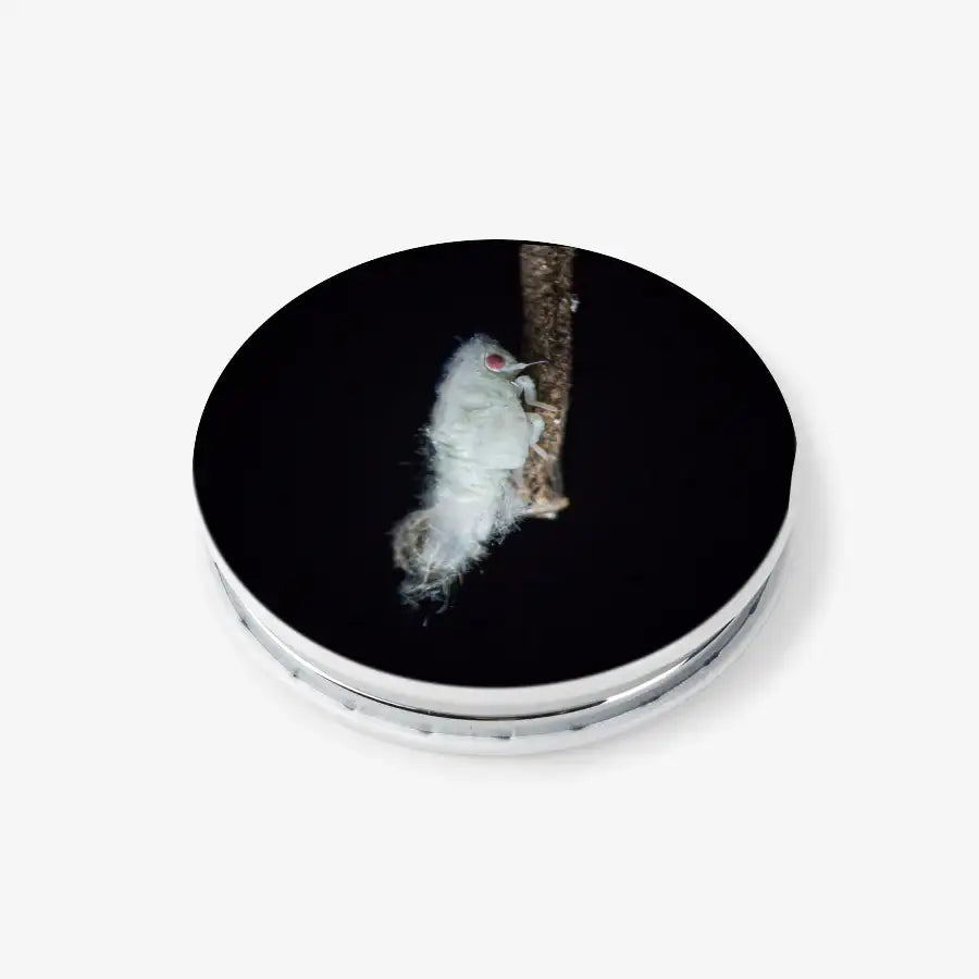 Muscid FACTORY - Fairy Bug Larva Double-Sided Mirror - Marpple Shop - Hand Mirror - Harumio