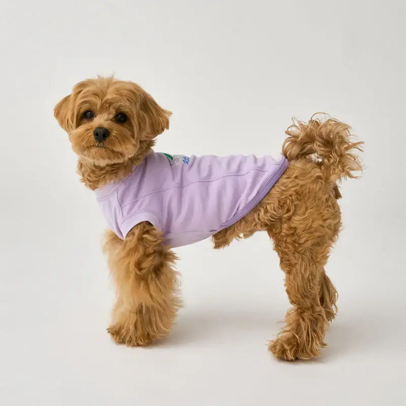 iCANDOR - Nature Top - iCANDOR - Pet Clothes - Harumio