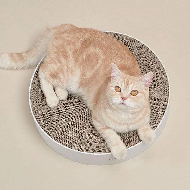 Duit - Pet Round Table House - Duit - Home & Living, Accessories - Harumio