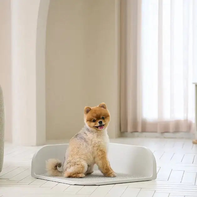 Duit - Pet Custom Potty Board - Duit - Home & Living, Accessories - Harumio