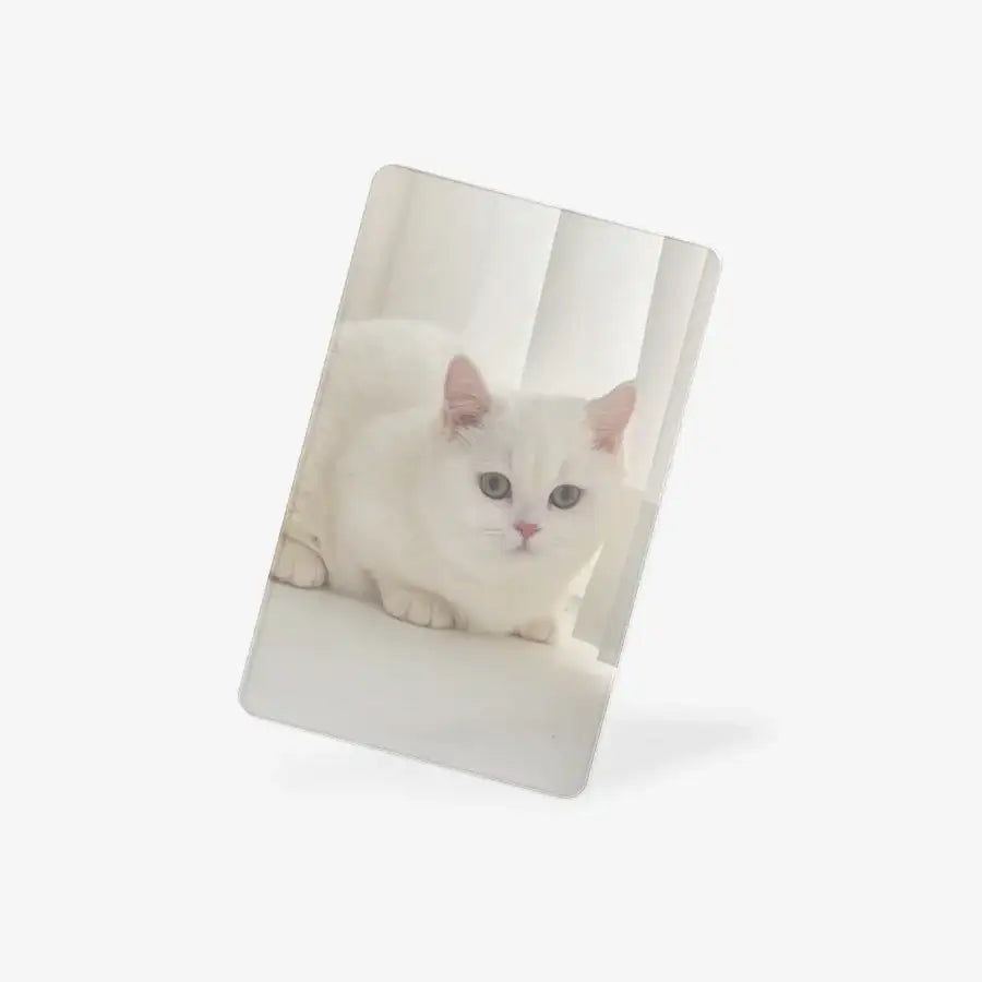 Melanger - Cutie Cat Vertical Photocard - Marpple Shop - Photocard - Harumio