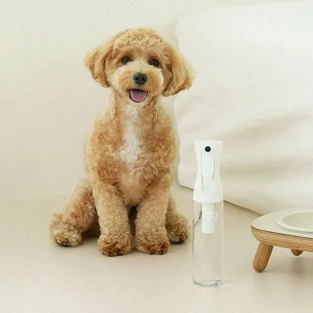 Duit - Pet Safe Spray 99.9% - Duit - Home & Living, Accessories - Harumio
