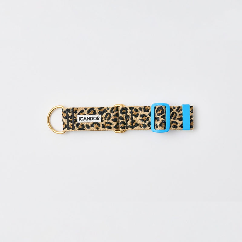 iCANDOR - Smooth Martingale Collar