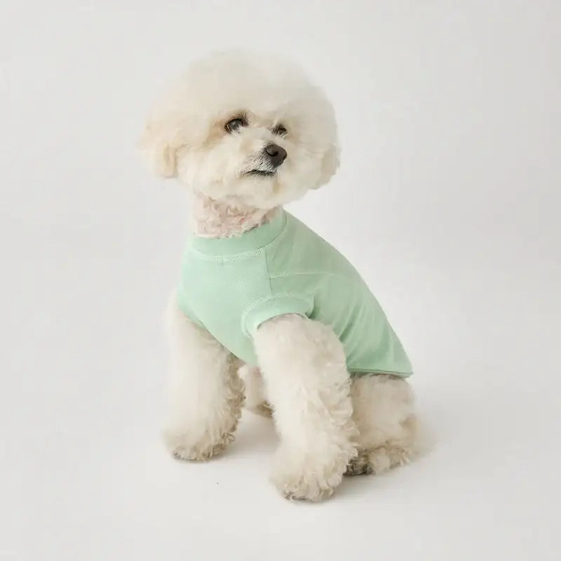 iCANDOR - Nature Top - iCANDOR - Pet Clothes - Harumio