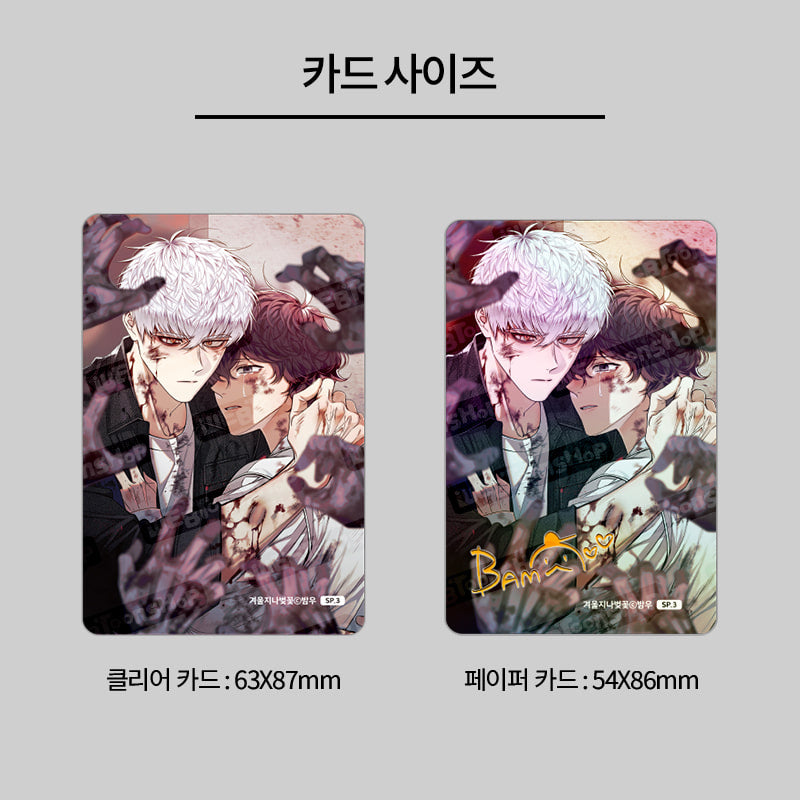 Cherry Blossoms After Winter - Photocard Special Collection
