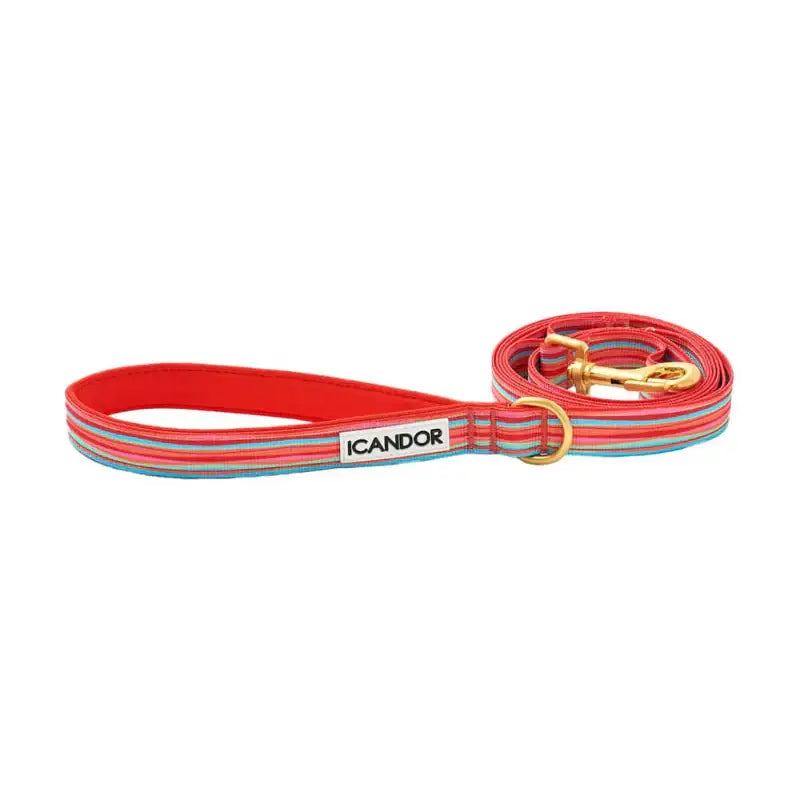 iCANDOR - Gentle Leash - iCANDOR - Pet Lead - Harumio