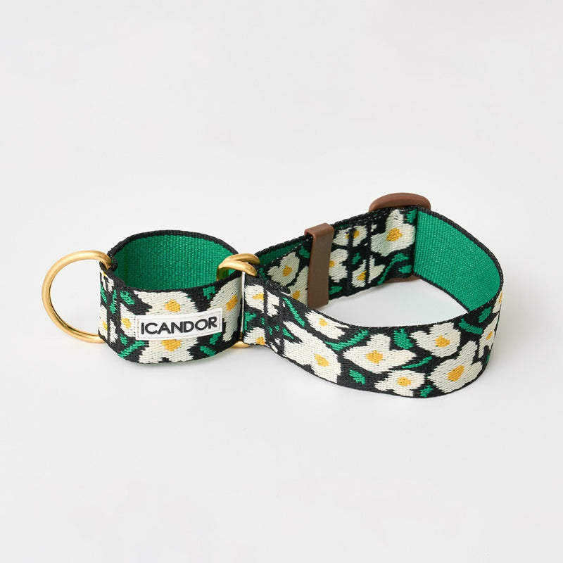 iCANDOR - Smooth Martingale Collar