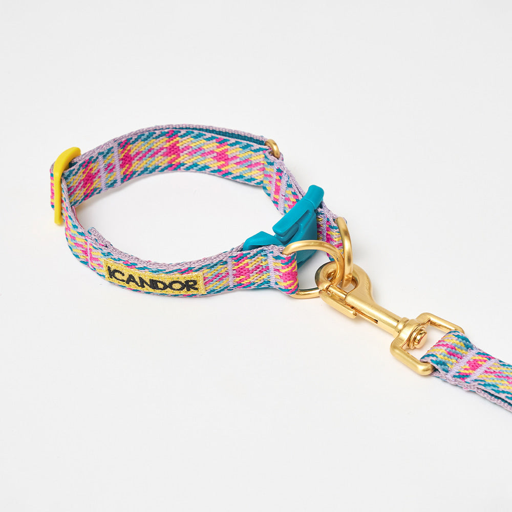 iCANDOR - Gentle Collar Dual Edinburgh Check