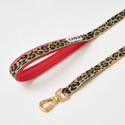 iCANDOR - Gentle Leash Bolt Gentle Leash Bolt 1.6m (15mm) Leopard
