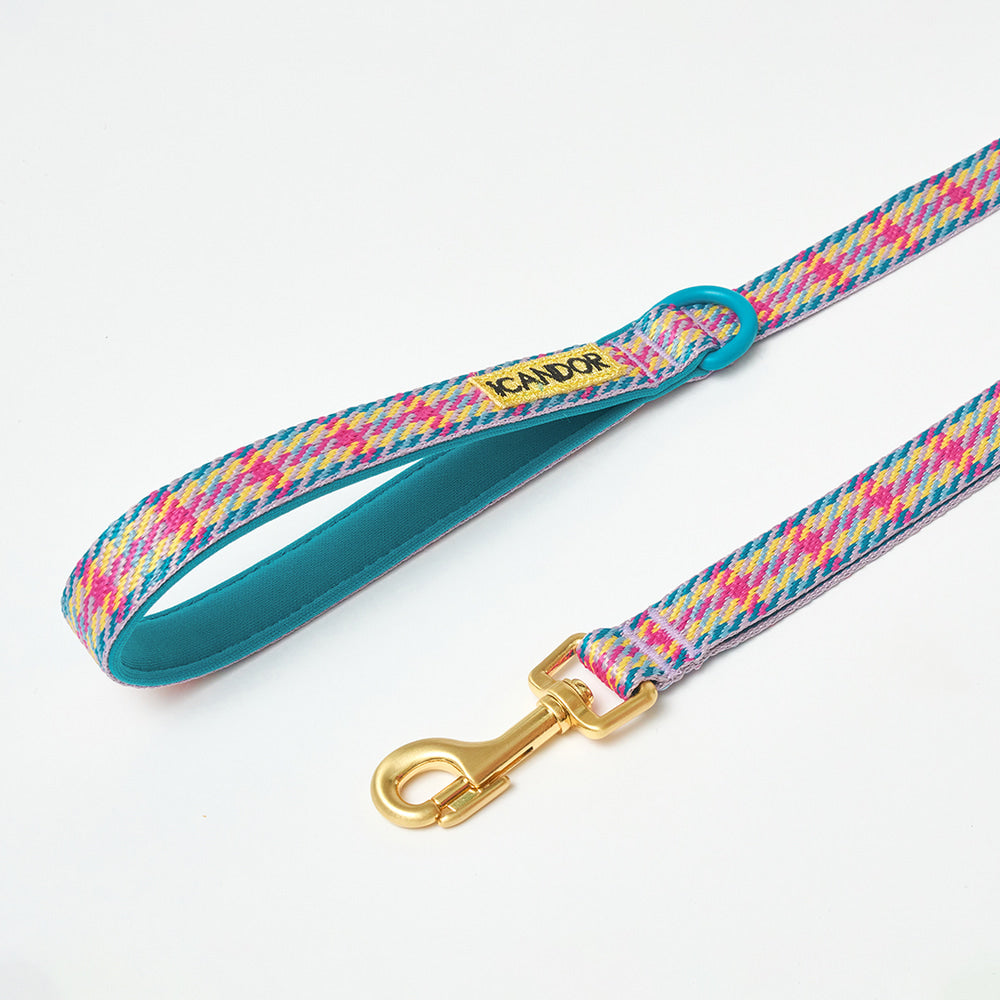 iCANDOR - Gentle Leash Edinburgh Check