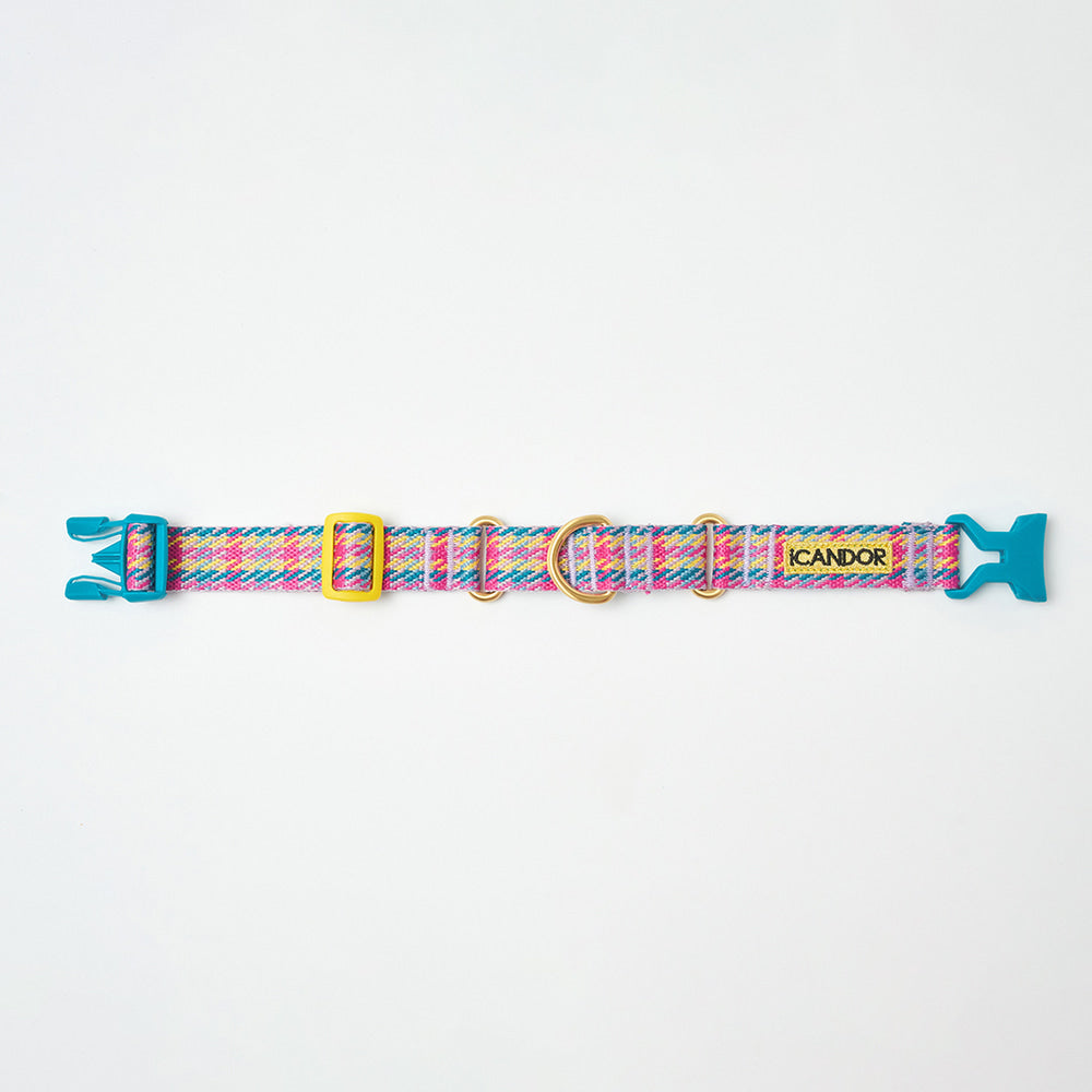 iCANDOR - Martingale Collar Buckle Edinburgh Check