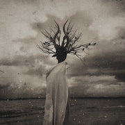 THORNAPPLE - Enlightenment : 3rd album - THORNAPPLE - Album - Harumio