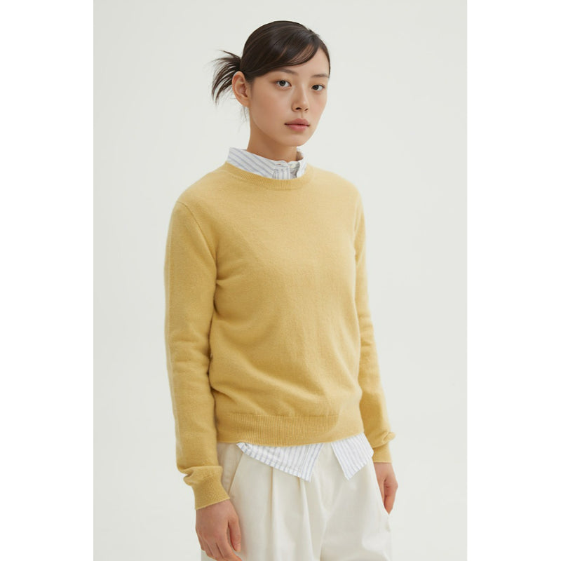 SPAO - Women's Round Neck Knit