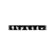 BTS Pop-Up: ARIRANG World Tour- Slogan Muffler