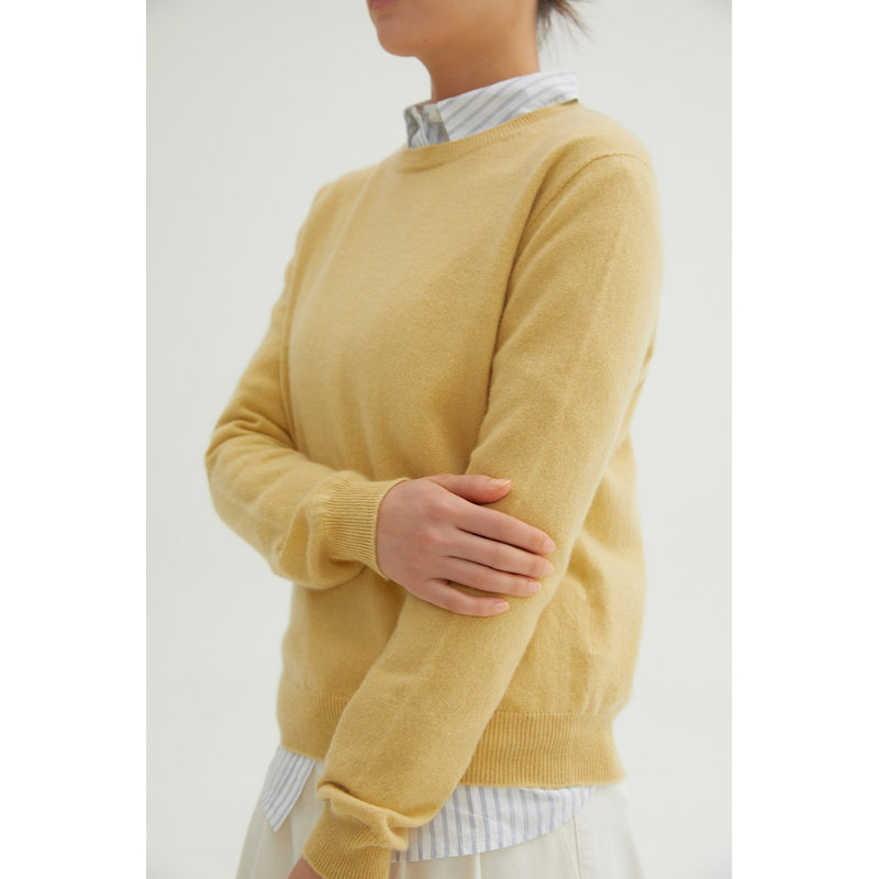 SPAO - Women's Round Neck Knit