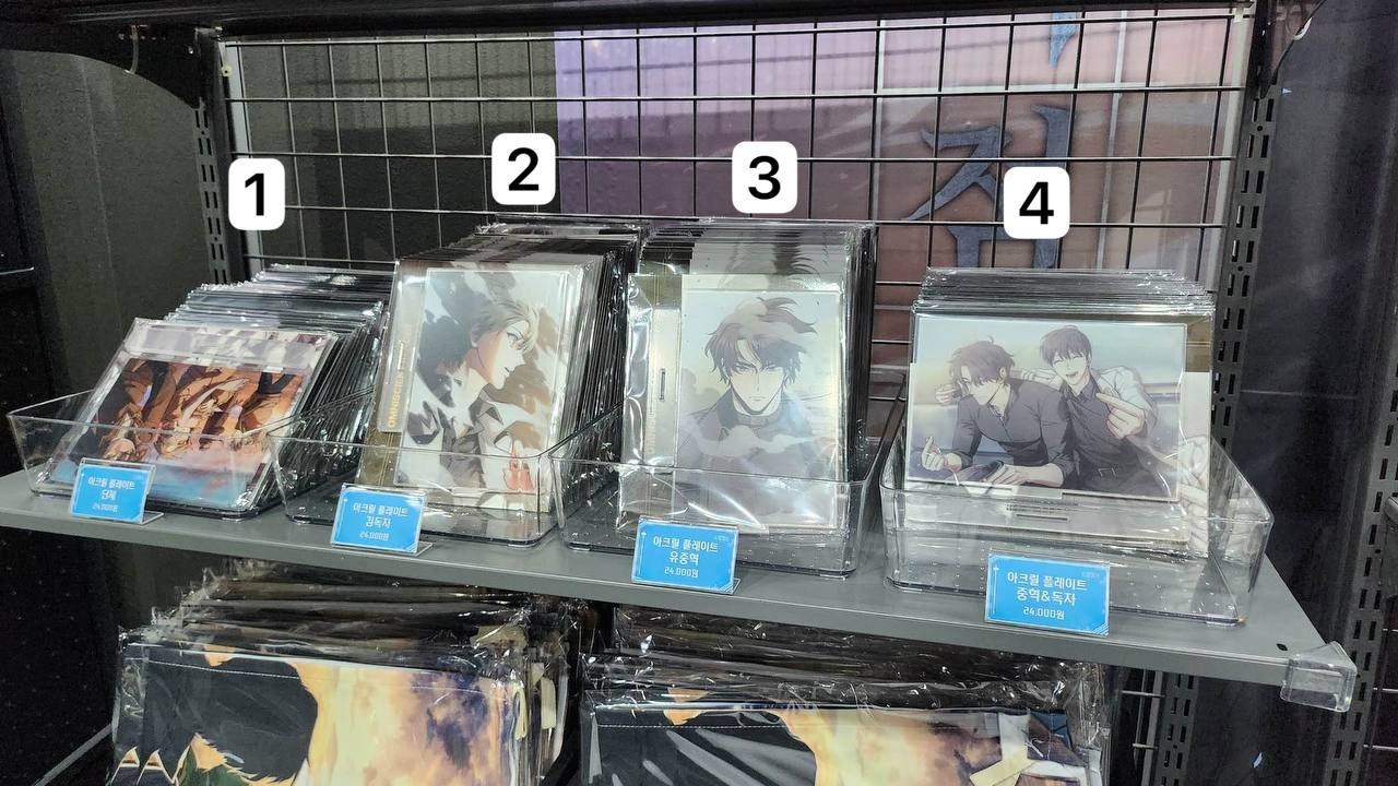 Omniscient Reader's Viewpoint Pop-Up Store - Acrylic Plate - REDICE - Acrylic Figure - Harumio