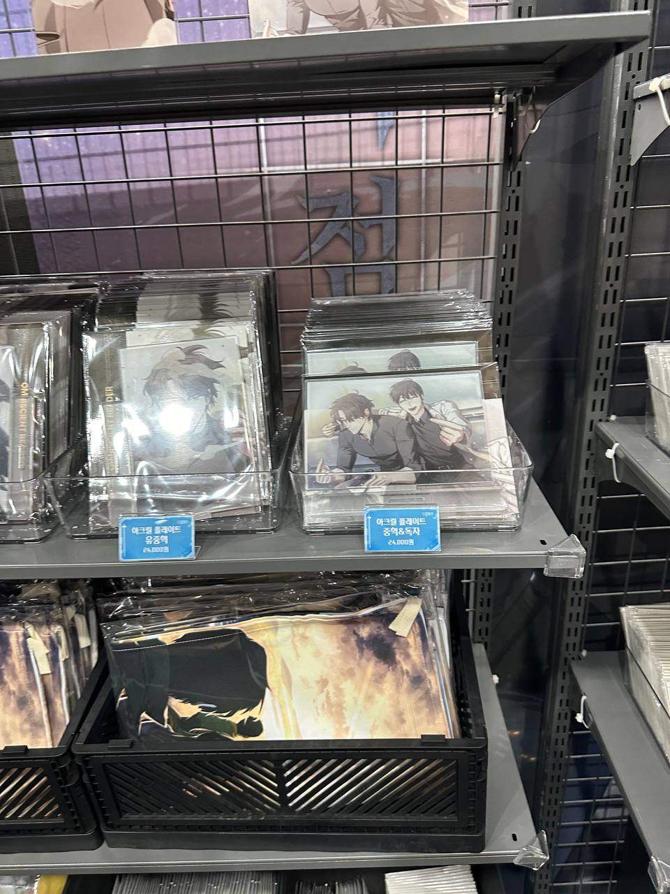 Omniscient Reader's Viewpoint Pop-Up Store - Acrylic Plate - REDICE - Acrylic Figure - Harumio