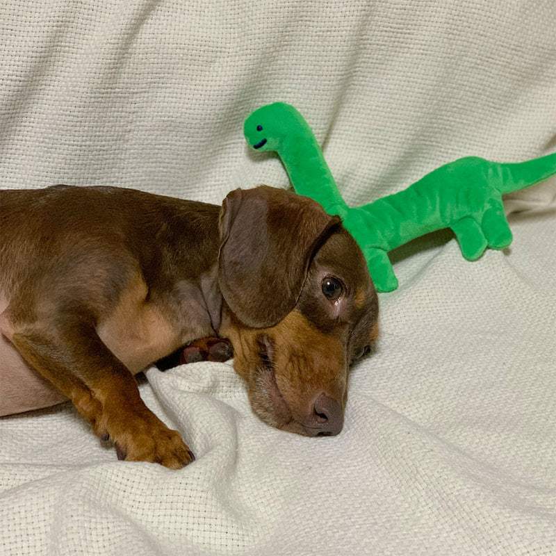 Joguman Studio - Brachiosaurus Dog Toy - Joguman Studio - Dog Toy - Harumio