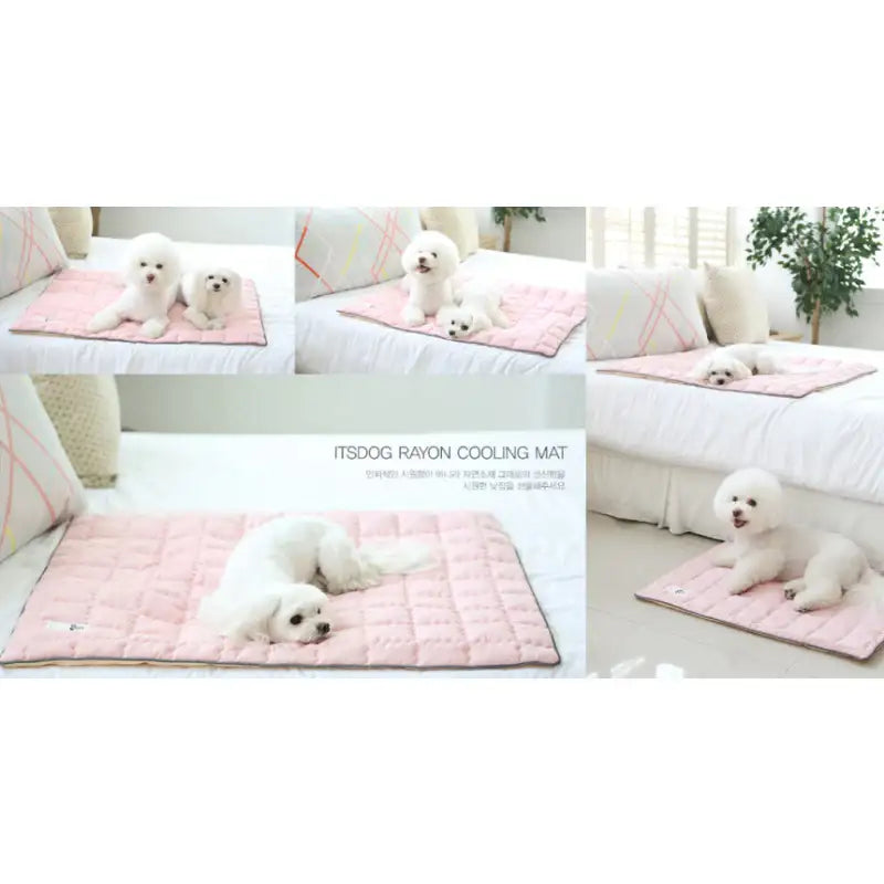 ITSDOG - Dog Cooling Mat - ITSDOG - Pet Accesories - Harumio