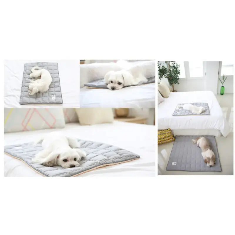 ITSDOG - Dog Cooling Mat - ITSDOG - Pet Accesories - Harumio