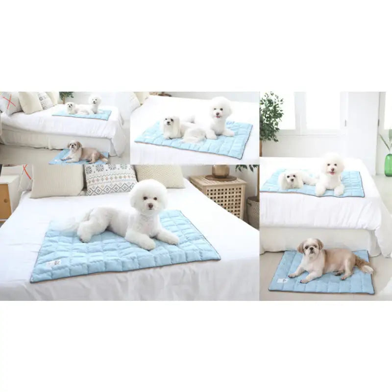 ITSDOG - Dog Cooling Mat - ITSDOG - Pet Accesories - Harumio